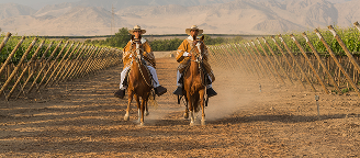 Actividades en La Caravedo